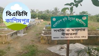 বিএডিসি কাশিমপুর | BADC KASHIMPUR