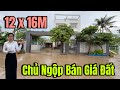 Biệt Thự Gò Vấp | Chủ Ngộp Ngân Hàng Bán Tháo 12 x 16M Rẻ Hơn Lô Đất Có Sân Vườn To Dưỡng Già