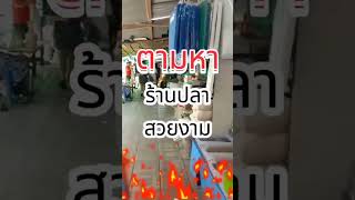 พาทัวร์ ตลาดปลาสวยงาม สนามหลวงสอง Ep1 #ปลาสวยงาม #ปลาทอง #เลี้ยงปลา  #ตลาดปลาสวยงาม #สนามหลวง2#สัตว์