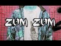 protiva zum zum prod. protiva clean verze