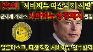 [시바이누 속보] 결국 밈 코인은 없어지네요.. 스팸 사기 \