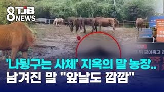 '나뒹구는 사체' 지옥의 말 농장..남겨진 말 \