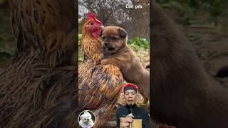 Tìm Mẹ cho bé lu 🐶#shorts #shortvideo #funny #videoshort