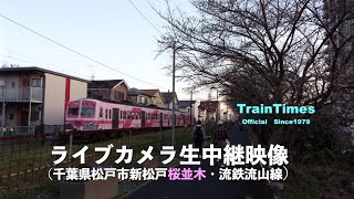 【ライブカメラ】生中継／千葉県松戸市新坂川桜並木／2021年5月17日【桜並木・流鉄流山線リアルタイム配信】