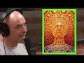 Joe Rogan's DMT Experiences