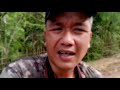 birding mizoram 26 5 2021 zingkar sava thlalakna video leh sava thla ka lak theih thenkhat