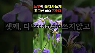 늙어서 혼자사는게 최고인 이유 | 노후에 혼자사는것이 좋다 | 혼자사는 인생 | 나이먹어서 혼자사는법 | 혼자사는노인|인생조언ㅣ노후준비ㅣ노후대비ㅣ은퇴 |  행복한노후를 준비하는방법