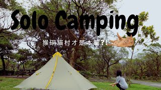 *8 Weekday camping that almost needs to be booked out by one person Houtong looking for cats