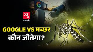 Google 3 करोड़ मच्छरों को क्यूँ छोड़ना चाहता है? | Debug Project Explained