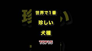 世界で1番珍しい犬種TOP15 #世界一 #珍しい #犬 #ランキング動画