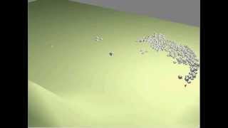 Boids Clip05: Predators
