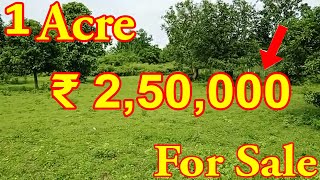 1 Acre World Famous Ulavapadu Mango Garden For Sale | Vizag Real Estate Tv | Rate ₹ 2,50,000 Lakh