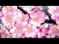 tyler the creator where’s this flower bloom alternate intro looped slowed + reverb