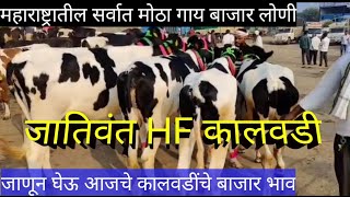 @टॉप HF ब्रीड #कालवडी जातिवंत एचएफ कालवाडी बाजार #लोणी