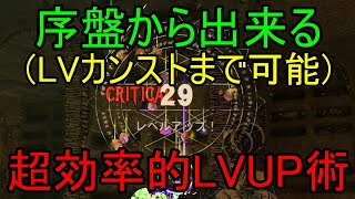 【ワンダーランズ ～タイニー・ティナと魔法の世界】序盤からカンストLVまで上げる事が可能な超効率的LVUP術【最強LV上げ】