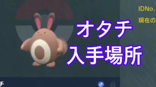 【ポケモンSV】【DLC】オタチ入手場所