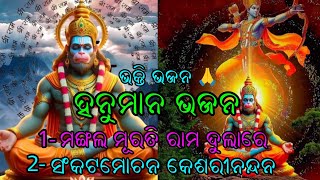 ଦୁଇଟି ସୁନ୍ଦର ହନୁମାନଙ୍କ ଭଜନ ଓଡ଼ିଆ ଆଉ ହିନ୍ଦୀ ରେ covered by anuradha panigrahi