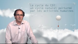 Le cycle du CO2 : un cycle naturel perturbé par les activités humaines