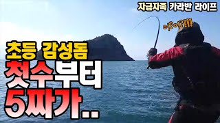 초등 감성돔 첫수부터 5짜가...  그런데 회가 병맛.... [캠낚세끼] / 추자도 낚시n캠핑 / caravan / camping car / Fishing / 캠핑카