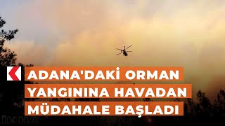 Adana'daki orman yangınına havadan müdahale başladı