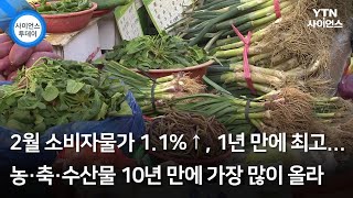 2월 소비자물가 1.1%↑, 1년 만에 최고...농·축·수산물 10년 만에 가장 많이 올라 / YTN 사이언스