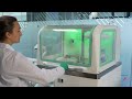 magnus high throughput tissue processor – how it works