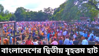 LIVE : আজকের বিশাল গরুর হাট,পুটিয়া, নরসিংদী।