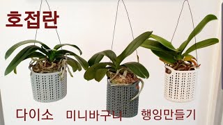 호접란 다이소 미니바구니 행잉플랜트  만들기,1000원의 행복. Phalaenopsis orchids hanging pots