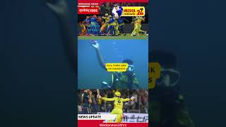 CSK WINS ஆழ்கடலில் கிரிக்கெட் விளையாடிய ரசிகர்கள் | TAMIL NEWS | #shorts