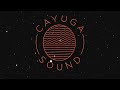 cayuga sound 2017 festival u0026 lineup announcement