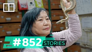 ‘Snake queen’ of Hong Kong brings warmth to the city