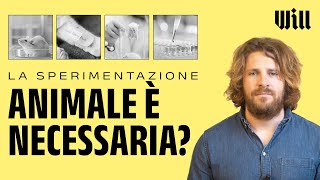 La sperimentazione animale è necessaria?