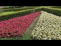 徳島県とくしま植物園🌈2020年6月9日