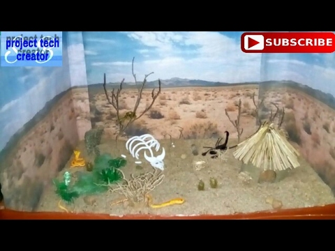 How to make model of desert for school project How to make model of desert for school project