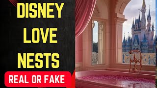 Disney Love Nests Real or Fake | Disney Love Nests Is Real? | Disney Love Nests Real Video | Reality