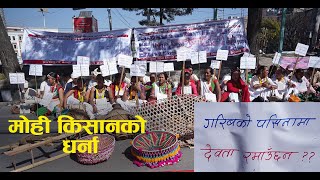 Protest |माइतीघरमा स्वर्गद्वारी गुठी पीडित मोही किसानको धर्ना|