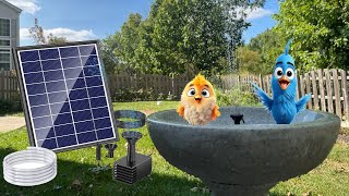 DIY Upgrading our Bird Bath with a $20 Solar Pump Fountain. POPOSOAP Review