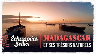 Émission spéciale : Madagascar et ses trésors naturels - Échappées belles