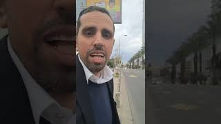 Row of trees at busy Tel Aviv road