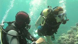 Shenelin Discovery Scuba Diving in Sharm El Sheikh