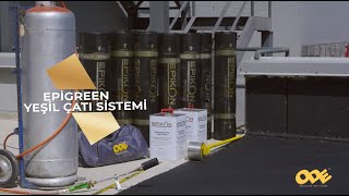 Epigreen Yeşil Çatı Sistemi Uygulaması