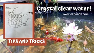 Small fish pond with bog filter| Crystal clear water