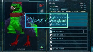 Ark mobile PVXC Duo  Duoリベンジ ep1 (公式サーバー)