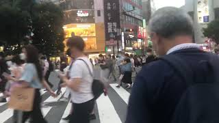 本日の渋谷スクランブル交差点