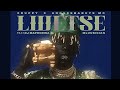 Xduppy x Angekebabuye Mc - Lwetse (Official Audio) feat. Dj Maphorisa x Mluusician