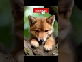 #tinyanimal#shortvideo #ai#viralshorts #cute #animals #funnyanimals #cat