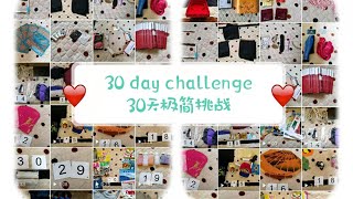 30天极简挑战 30 Day minimalist challenge 我一个月竟然扔了500件物品