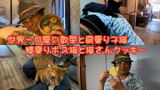 【飯テロ】保護猫カフェで世界一可愛い飲茶と子猫と猫クッキーで幸せな一日（保護猫カフェウリエル）梅田The world's cutest dim sum and black kitten