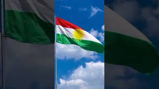 Happy Kurdistan's Flag Day❤☀💚  #kurdistan #kurdish #yalda_gamer