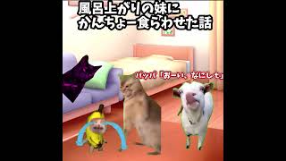 風呂あがりの妹にかんちょー食らわせた話　#shorts 　#猫ミーム